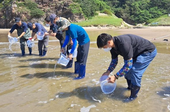 옹진군 수산종자연구소 어린 꽃게 70만미 방류