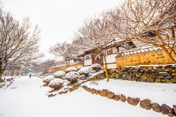 대상_박미향_신숭겸유적지의 여름과 겨울