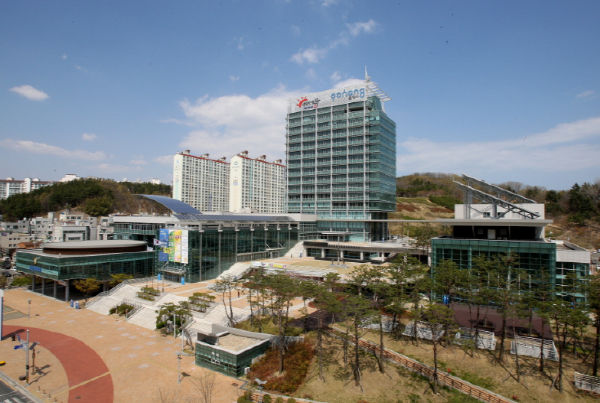 포항시, 영일만항 영남권 중고자동차 수출 거점항만으로 발돋움