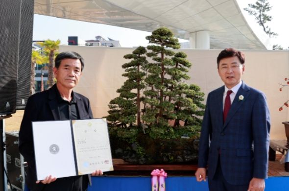 아름다운 분재의 세계… 전남 최고의 분재 보성에서 만나다