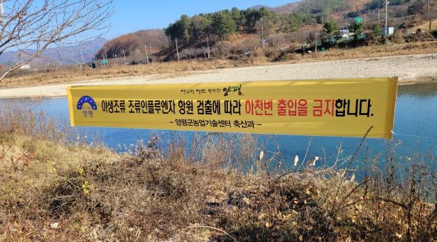 조류인플루엔자 방역 강화