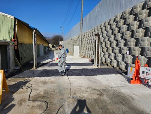 포천시, 아프리카돼지열병 발생...살처분 실시