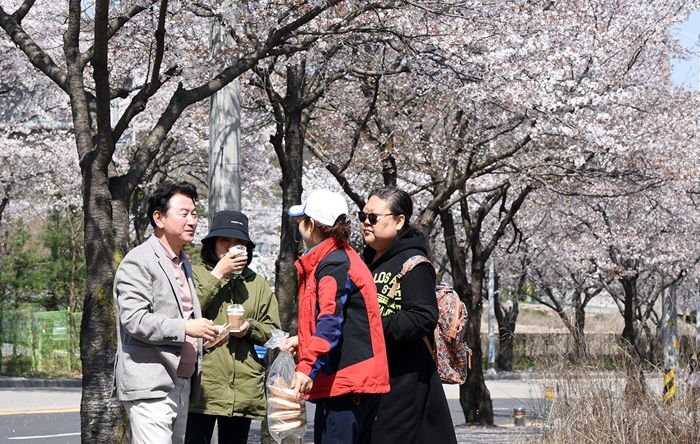 김동근 의정부시장, 입석마을 벚꽃길 걸으며 봄의 청취를 주민과 함께