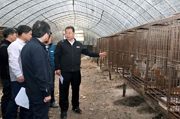 동물학대 현장 긴급 점검