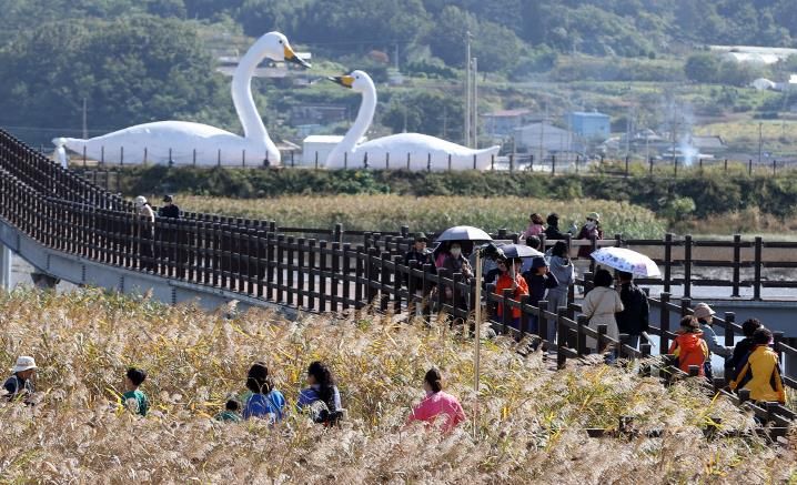 지난해 강진만 생태공원에서 열린 강진만 춤추는 갈대축제 모습