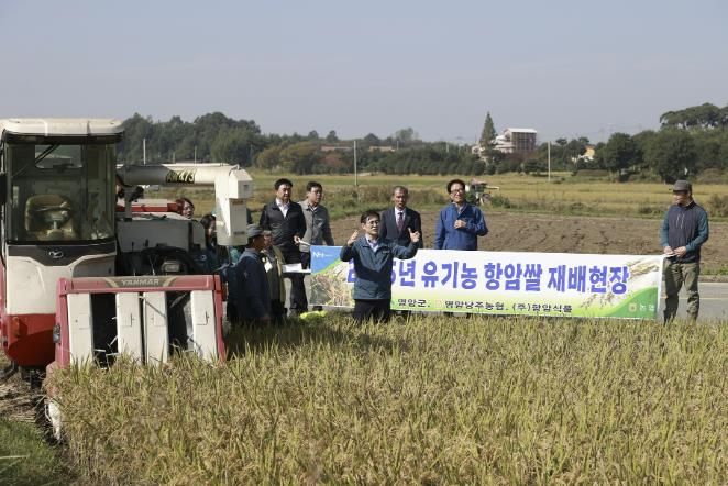 영암군, 친환경 기능성쌀 수확 현장서 농업인과 소통