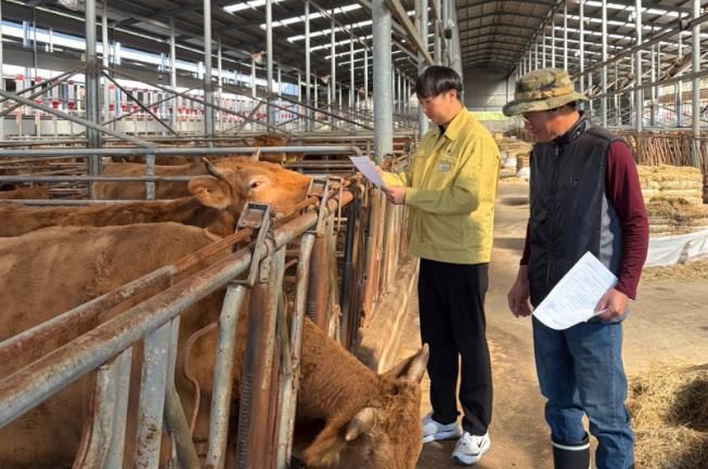 순창군, 동절기 대비 축산분야 재해 예방 현장점검 강화