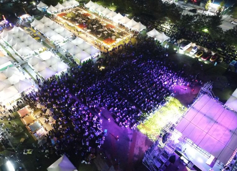 드라이브 인 페스타, 안전관리 이상無