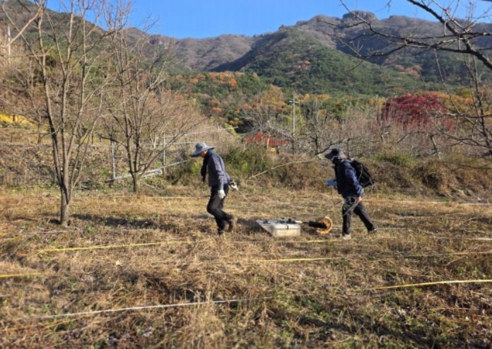 김천 갈항사지 GPR탐사 시범조사 모습 (2025년 11월)